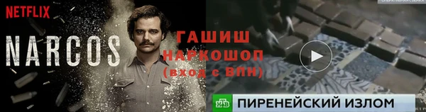 соль ск Козловка
