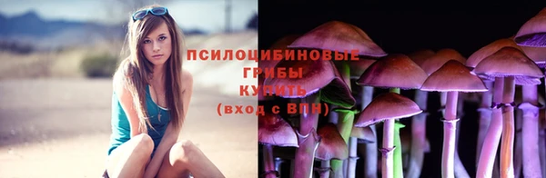 экстази Козельск