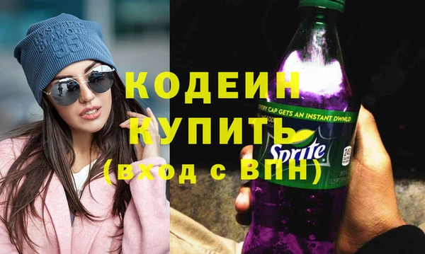 соль ск Козловка