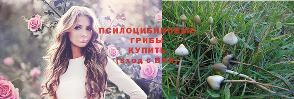 экстази Козельск