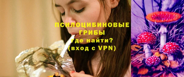 соль ск Козловка