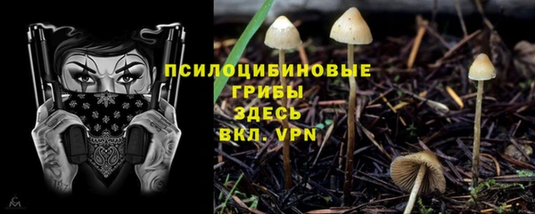 экстази Козельск