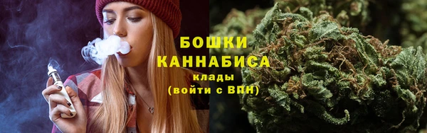 соль ск Козловка