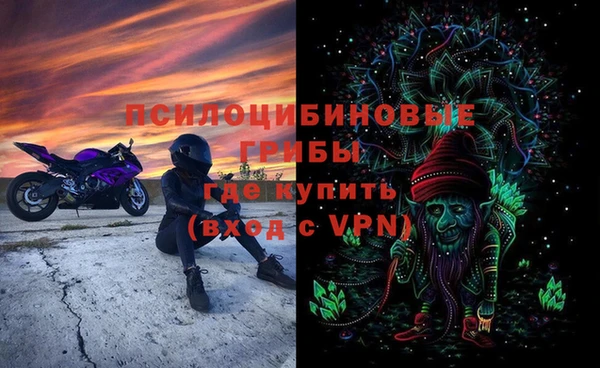 экстази Козельск